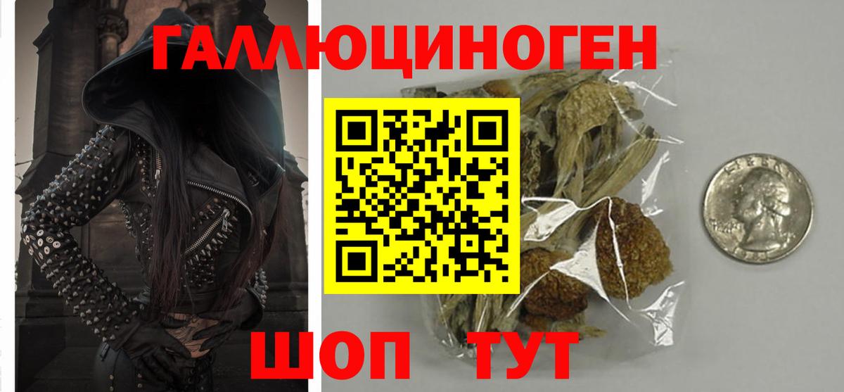 Псилоцибиновые грибы Psilocybine cubensis Нововоронеж