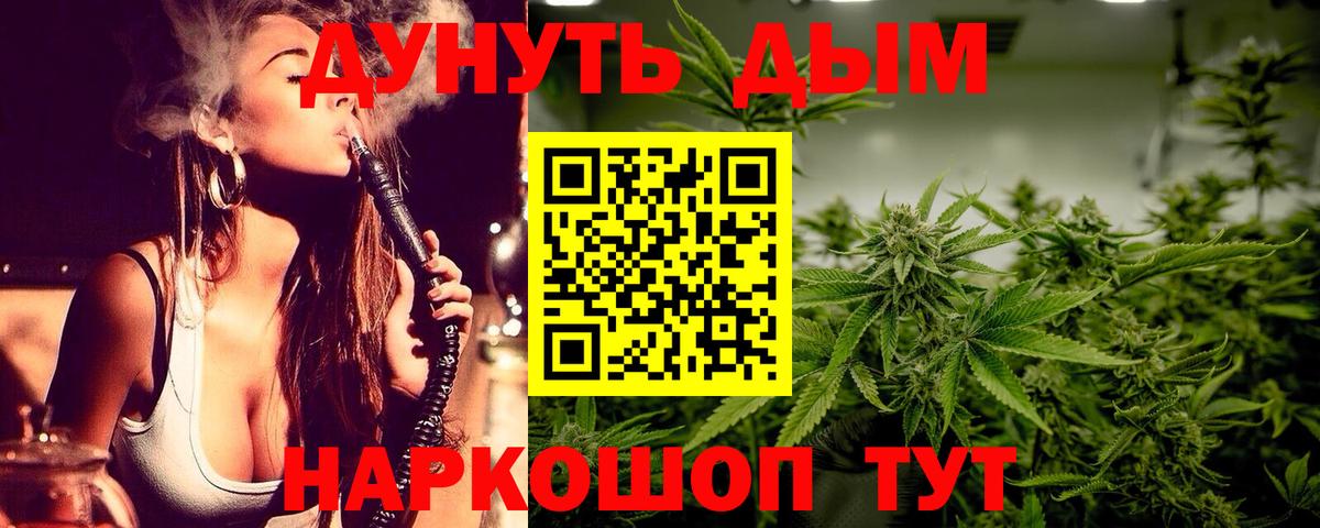 Марихуана план Нововоронеж